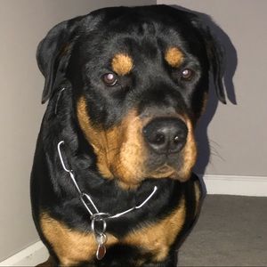 Meet your Posher, Alan